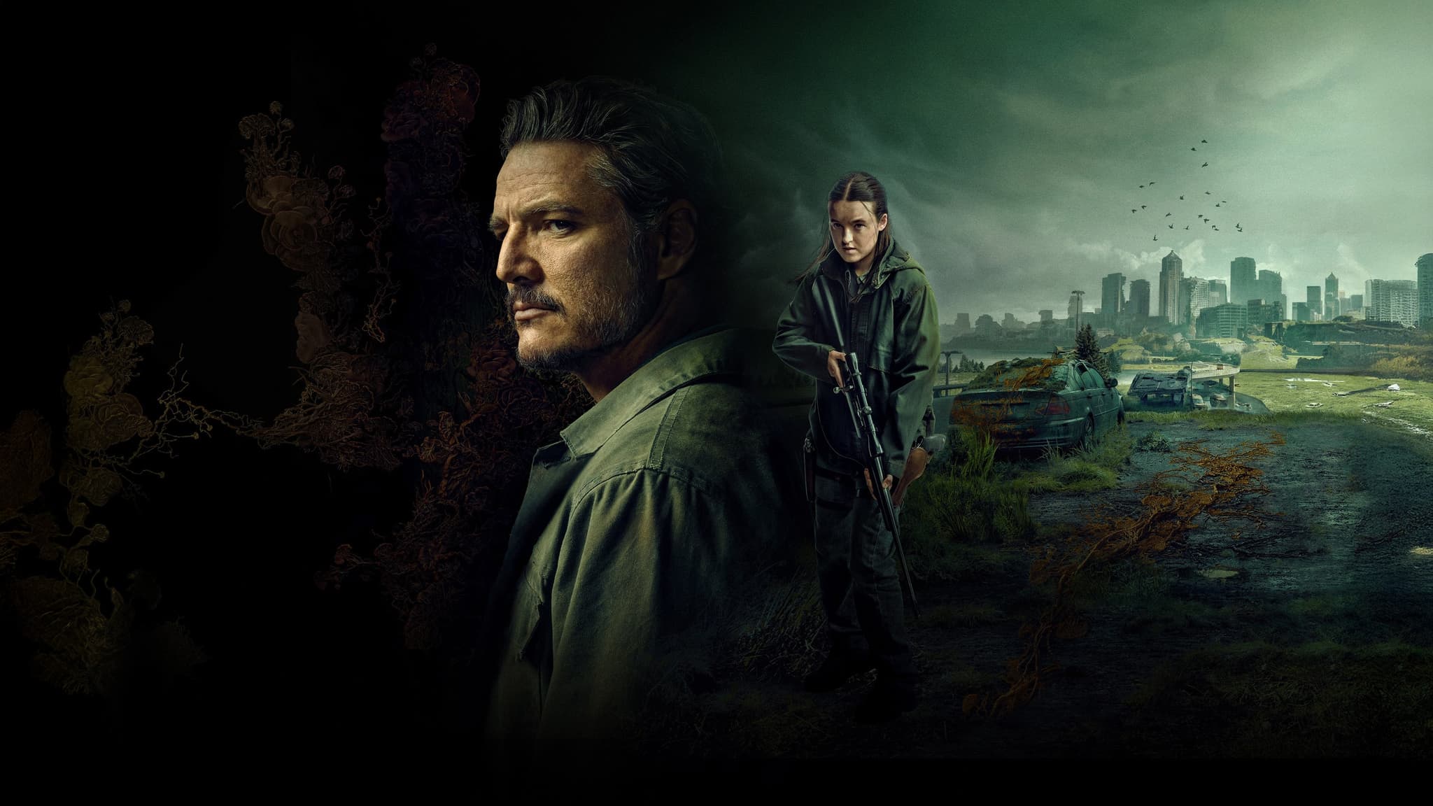 Picture of the film cover
