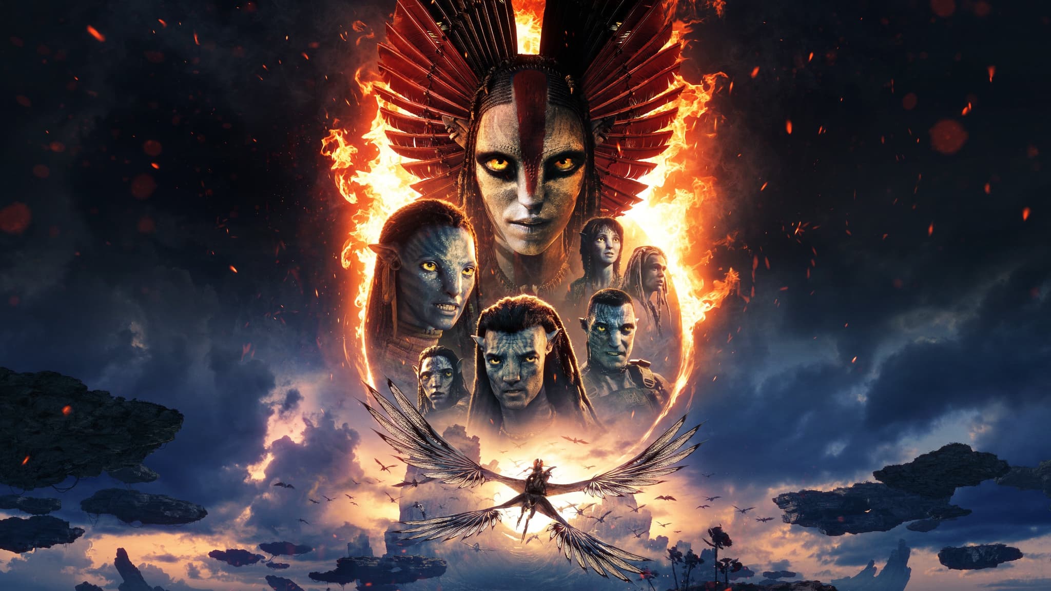Picture of the film cover