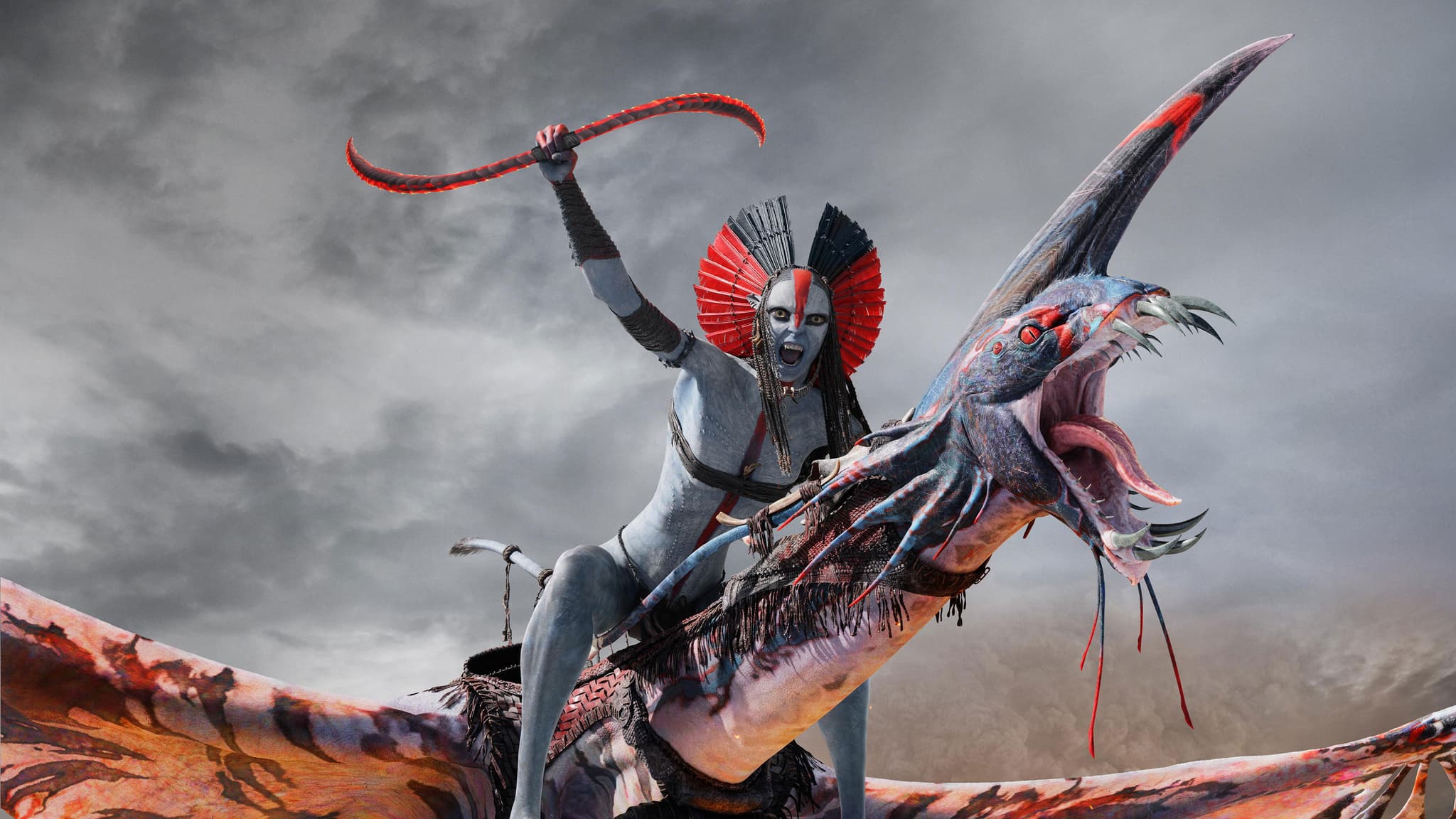 Picture of the film cover