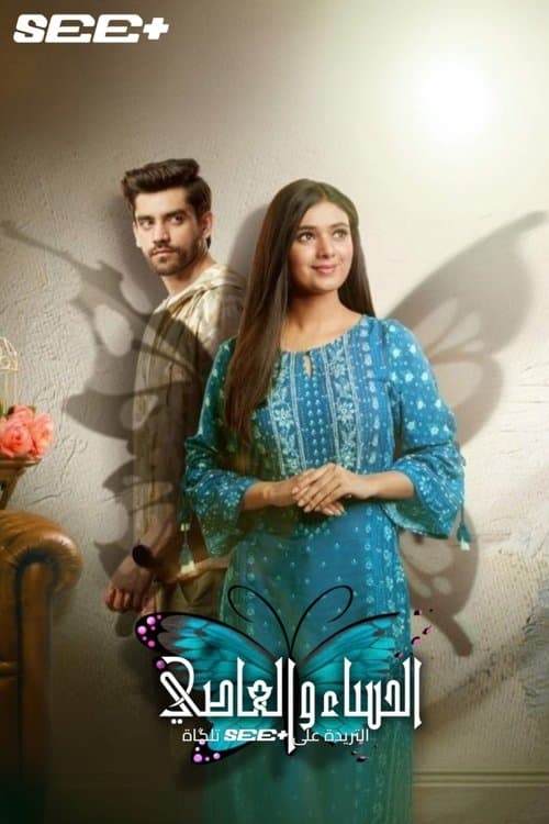 Picture of the film cover