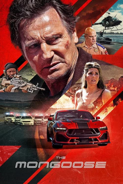 Picture of the film cover