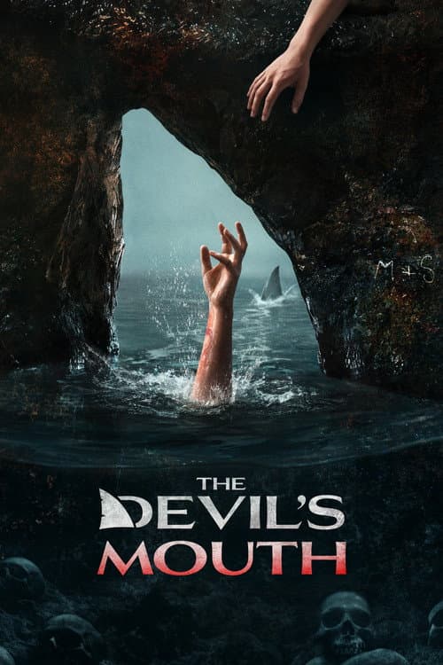 Picture of the film cover