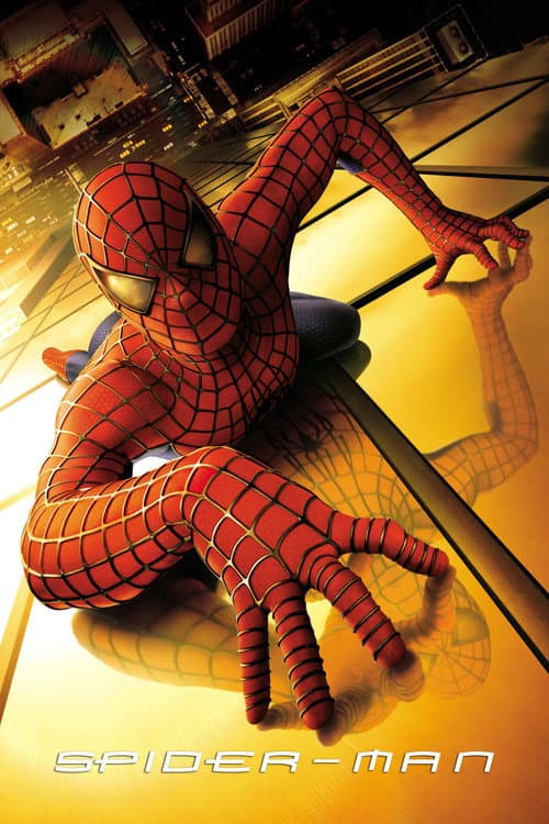 Picture of the film cover
