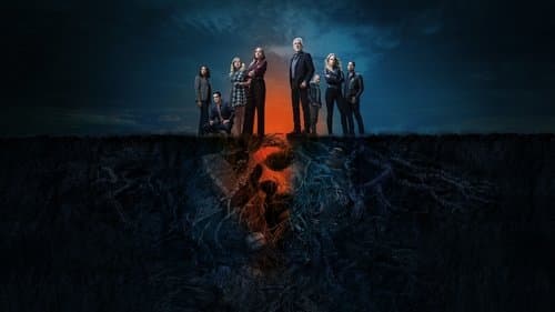 Picture of the film cover