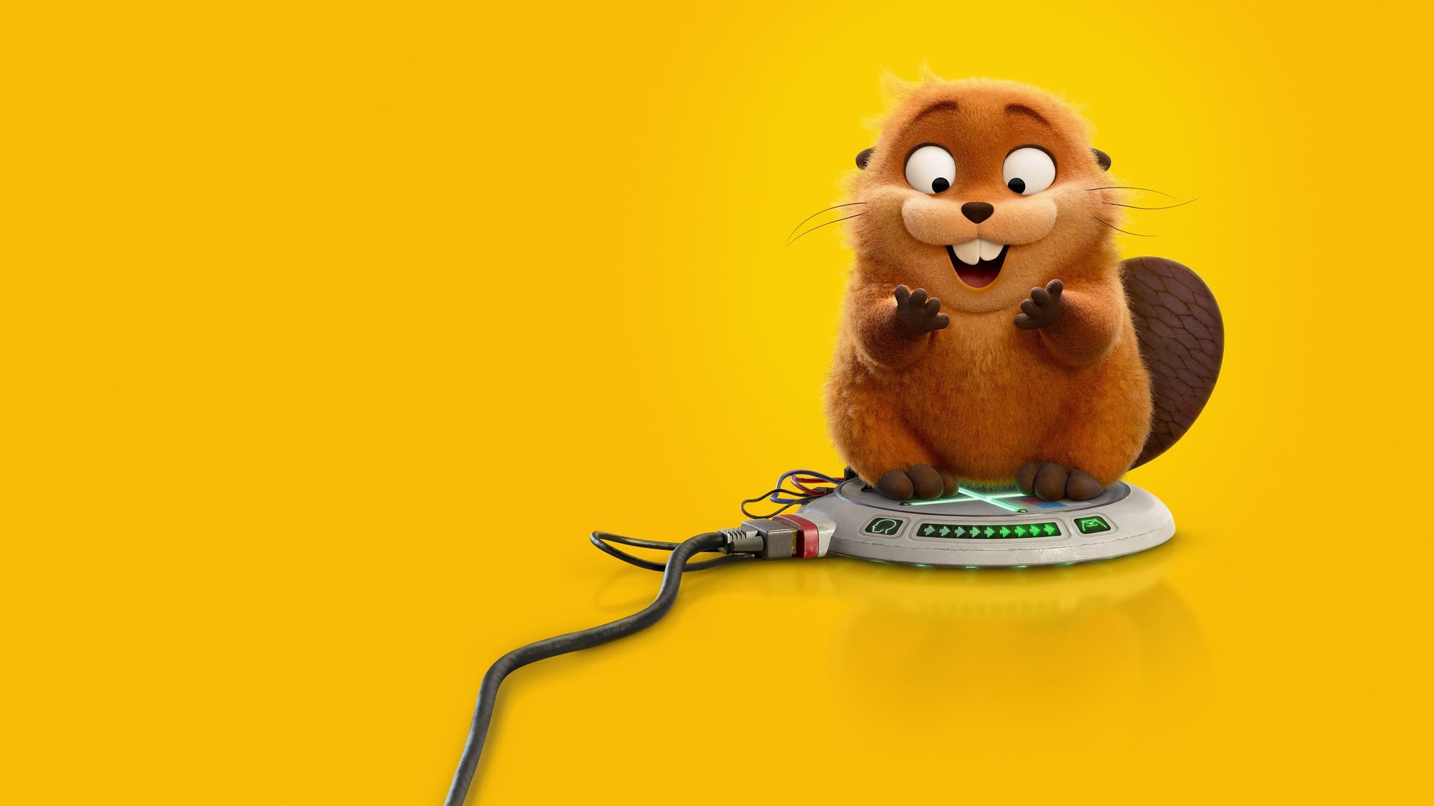 Picture of the film cover