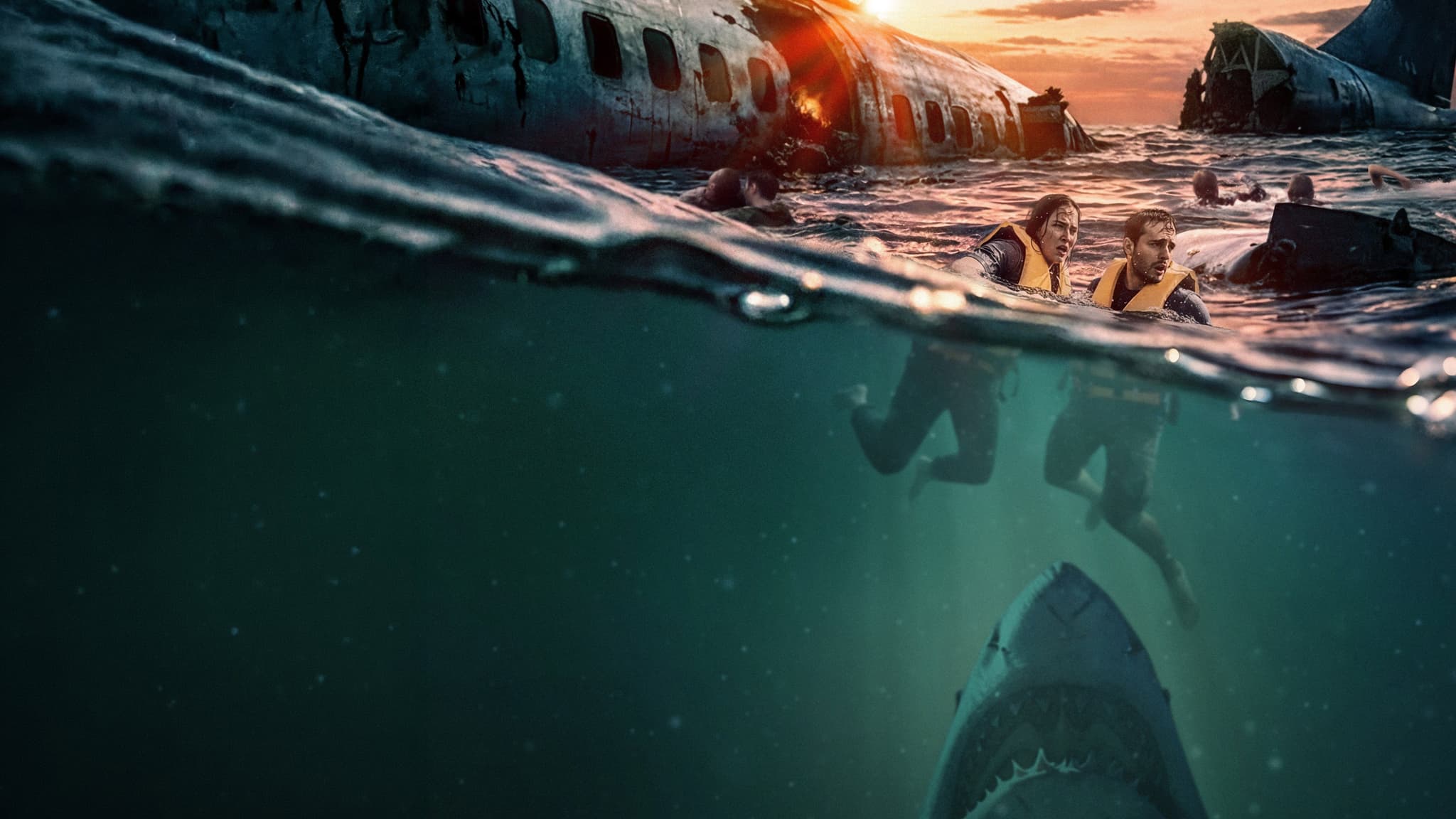 Picture of the film cover