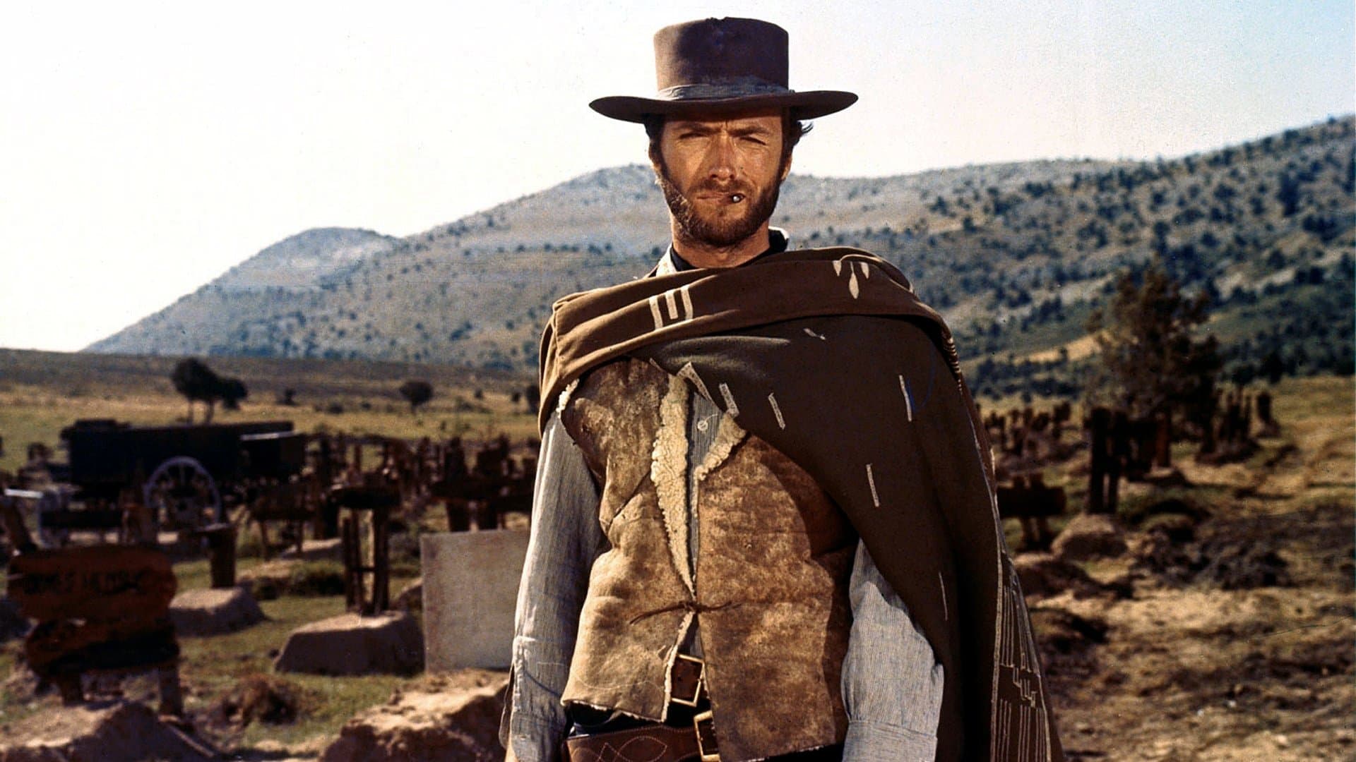 Picture of the film cover