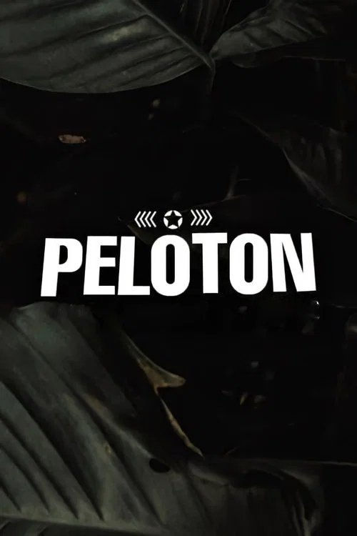 Picture of the film cover